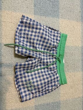 Blue Gingham Kids Swim Trunks with Green Waistband